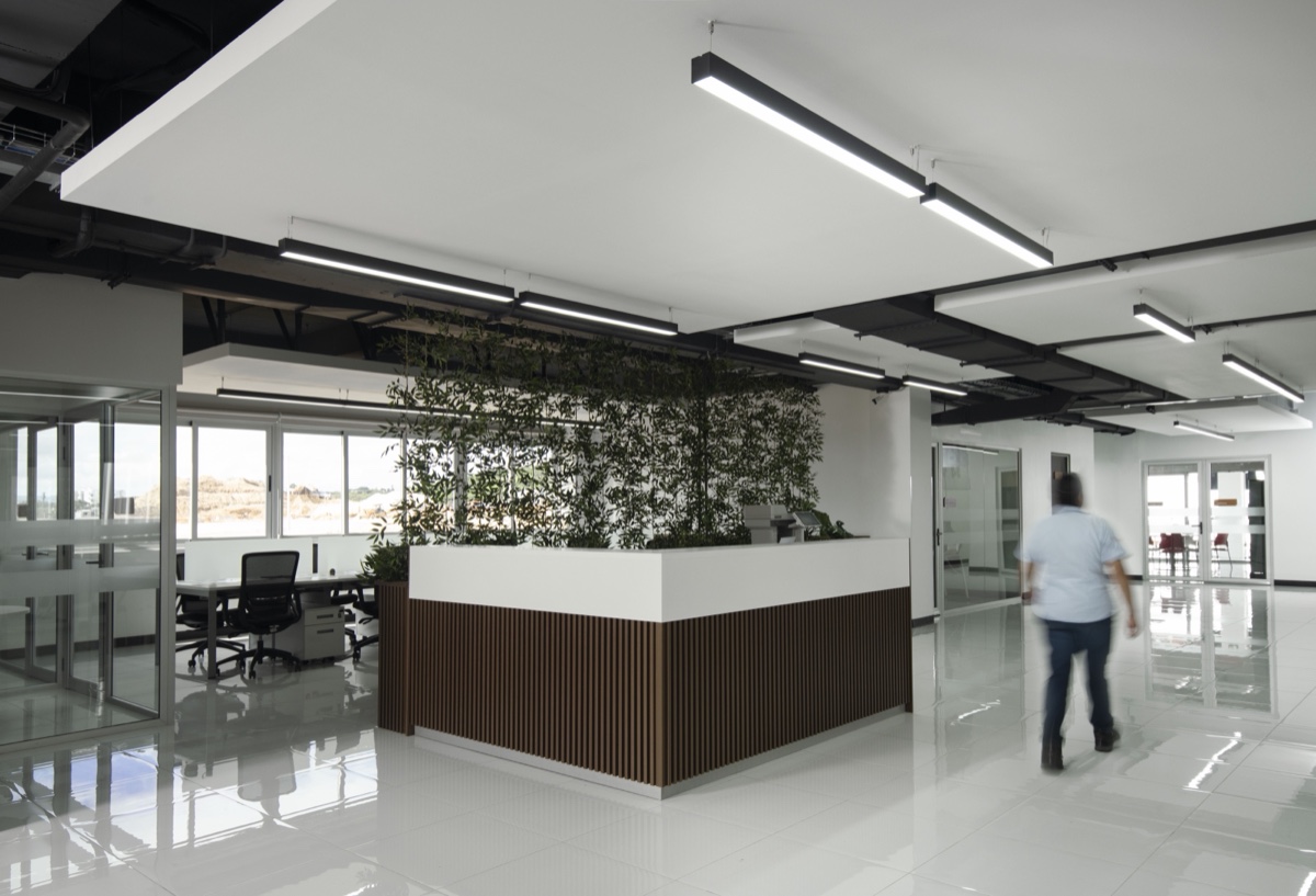 Centro de Distribución Patsy — 5